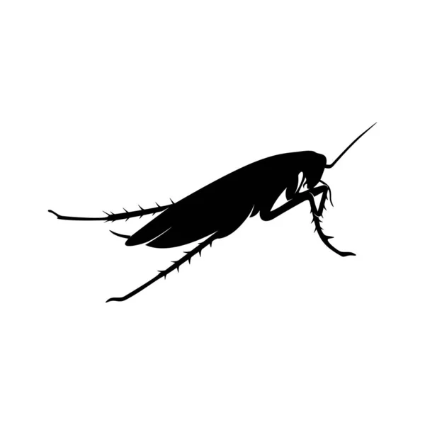 Cockroach Logo Design Vector Illustratie. Model voor het ontwerp van kakkerlak — Stockvector