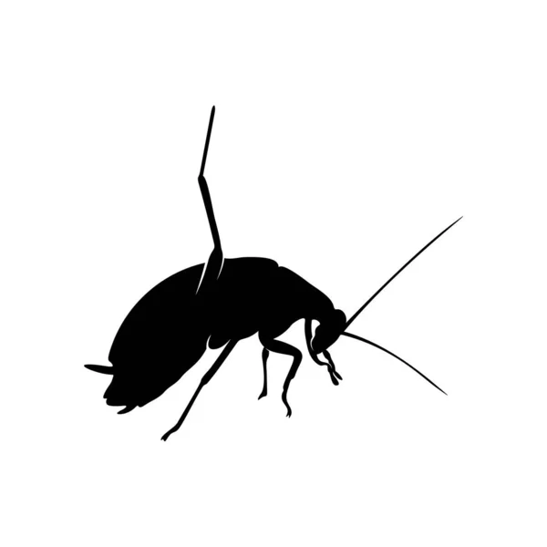 Diseño del logotipo de cucaracha Vector Illustration. Plantilla de diseño de cucaracha — Archivo Imágenes Vectoriales