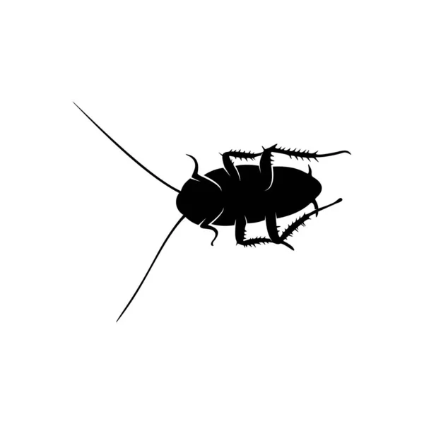 Set of Cockroach Logo Design Vector Illustration. Cockroach Design