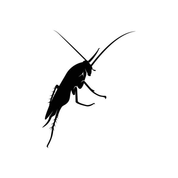 Cockroach Logo Design Vector Illustratie. Model voor het ontwerp van kakkerlak — Stockvector