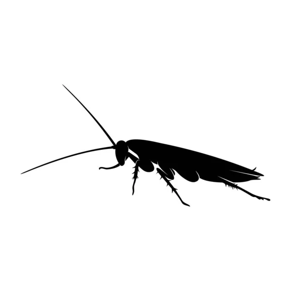 Diseño del logotipo de cucaracha Vector Illustration. Plantilla de diseño de cucaracha — Archivo Imágenes Vectoriales