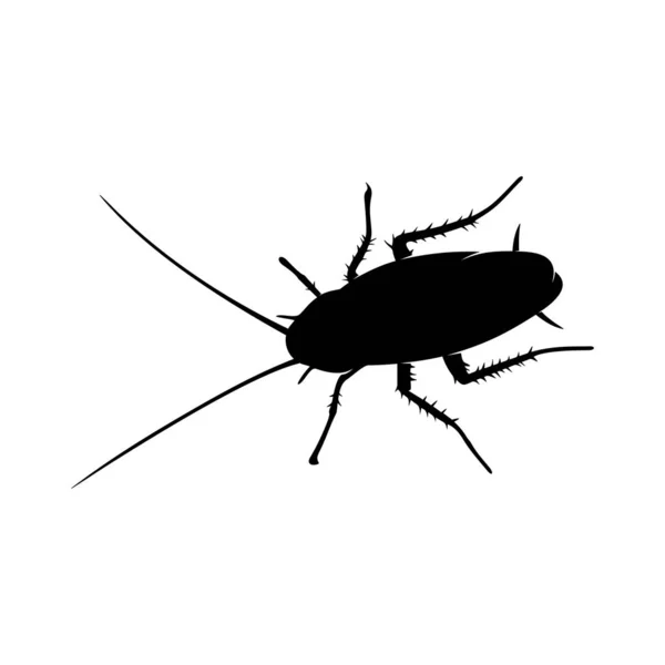 Hamamböceği Logosu Tasarım Vektörü İllüstrasyonu. Hamamböceği Tasarım Şablonu — Stok Vektör