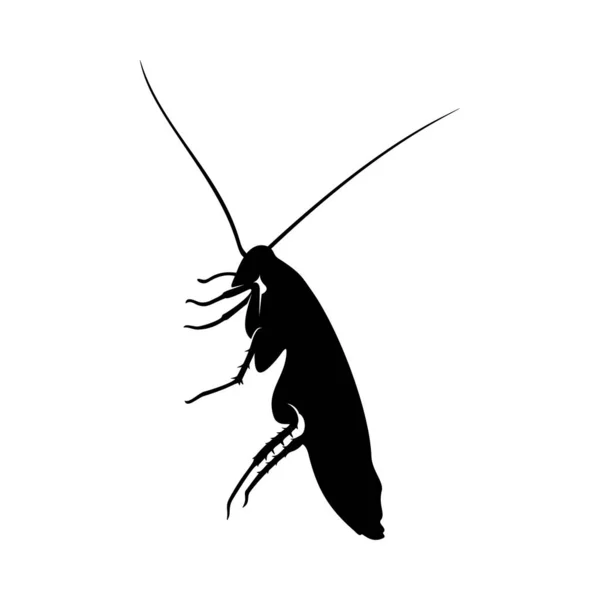 Cockroach Logo Design Vector Illustratie. Model voor het ontwerp van kakkerlak — Stockvector