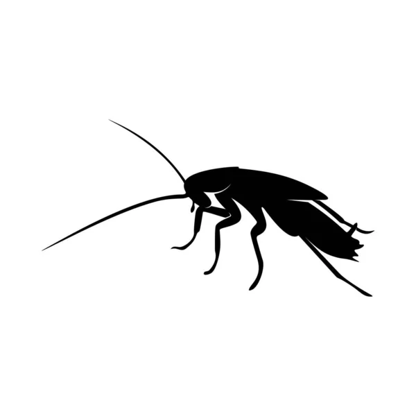 Diseño del logotipo de cucaracha Vector Illustration. Plantilla de diseño de cucaracha — Archivo Imágenes Vectoriales