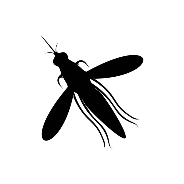 Mosquito Logo Design Vector Illustration. Modelo de design de mosquito — Vetor de Stock