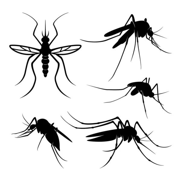 Набір ілюстрацій для дизайну логотипів Mosquito. Шаблон дизайну комарів — стоковий вектор