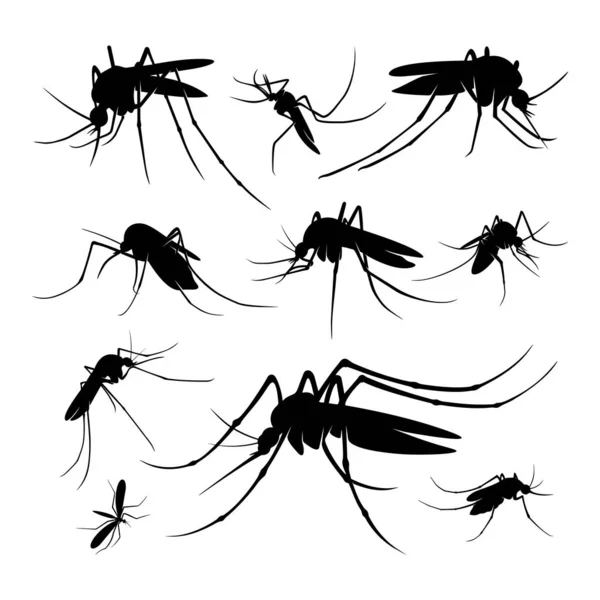 モスキートロゴデザインベクトルイラストのセット。蚊のデザインテンプレート — ストックベクタ