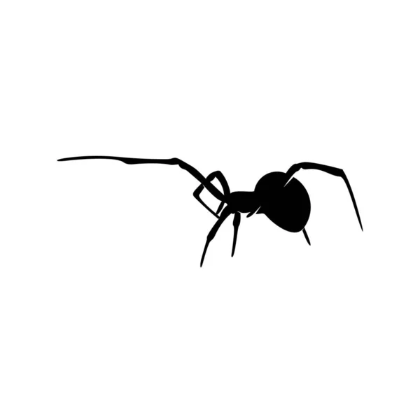 Örümcek Vektör Tasarım Logosu. Çeşitli Şekiller ve Farklı Hareketlerle Örümcekler Çizimi — Stok Vektör