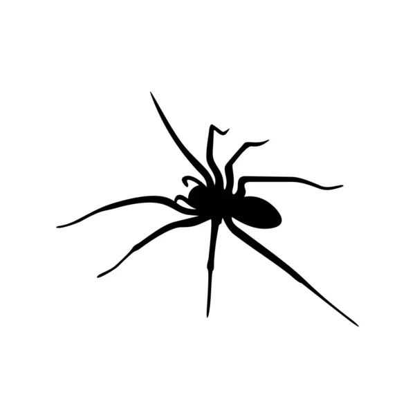 Spiders Vector Design logó. Pókok illusztráció különböző formák és különböző mozgások — Stock Vector