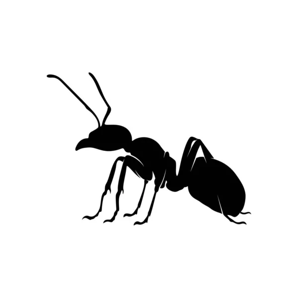 Logo projektu wektora mrówek. Ilustracja mrówek z różnymi kształtami i różnymi ruchami — Wektor stockowy