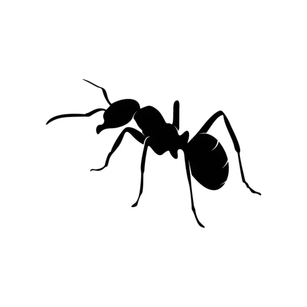 Логотип векторного дизайну мурашок. Ілюстрація з різними формами та різними рухами — стоковий вектор