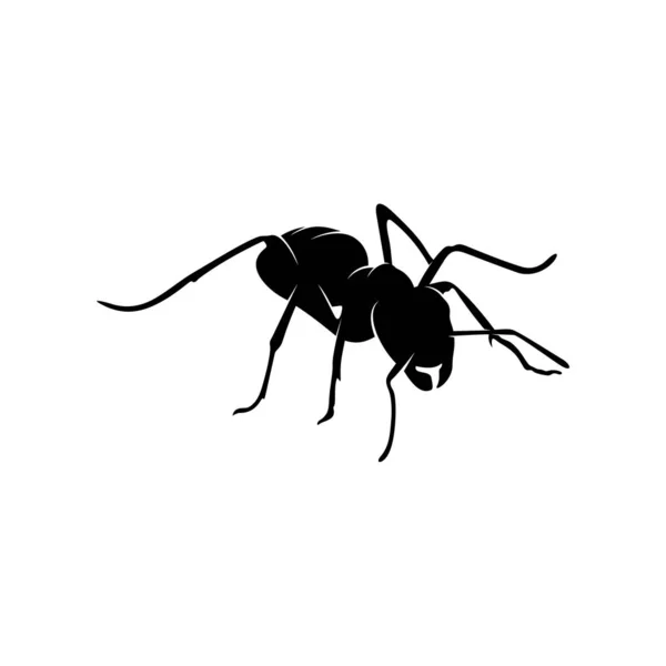 Ameisenvektordesign-Logo. Ameisenillustration mit verschiedenen Formen und unterschiedlichen Bewegungen — Stockvektor