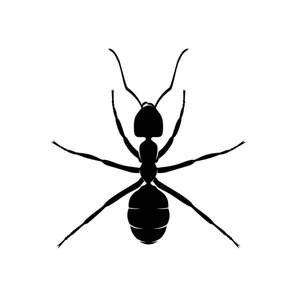 Ant Vector Design Logo. Ilustração de formigas com várias formas e diferentes movimentos — Vetor de Stock