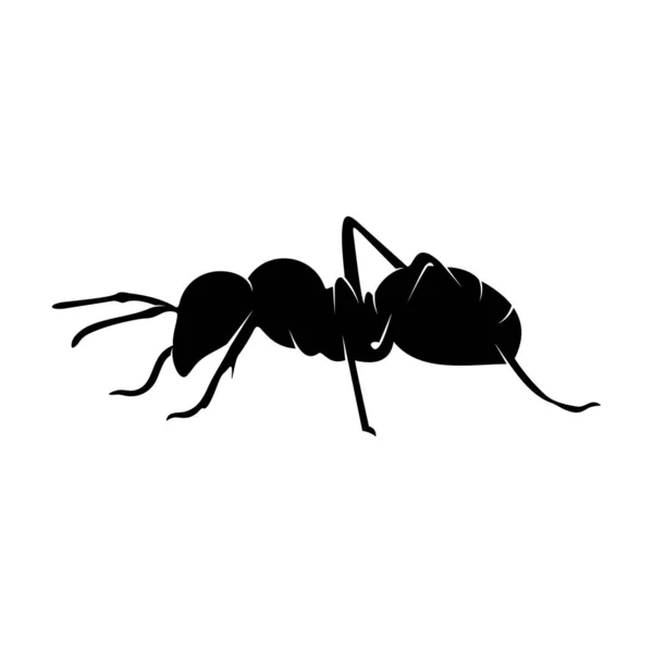 Ant Vector Design Logo. Ilustração de formigas com várias formas e diferentes movimentos — Vetor de Stock