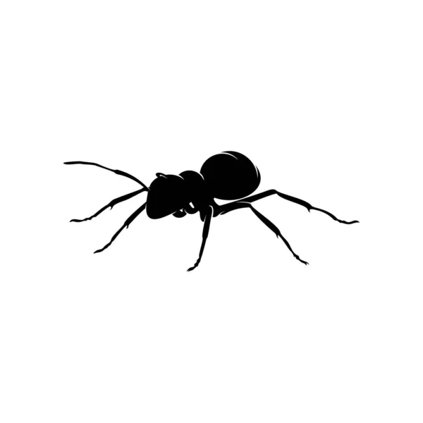 Ant Vector Design Logo. Ilustração de formigas com várias formas e diferentes movimentos — Vetor de Stock