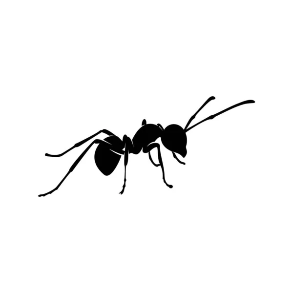 Logo Ant Vector Design. Illustration de fourmi avec différentes formes et différents mouvements — Image vectorielle