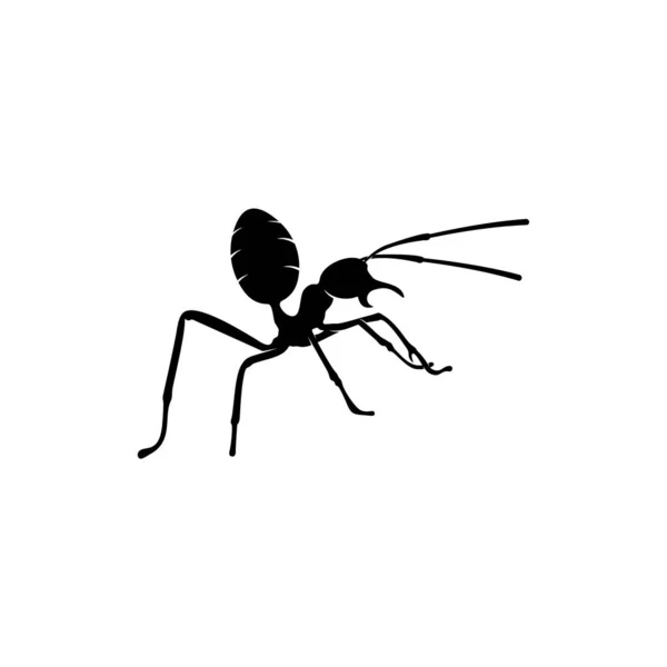 Λογότυπο σχεδίασης μυρμηγκιών. Ant Εικονογράφηση με διάφορες μορφές και διαφορετικές κινήσεις — Διανυσματικό Αρχείο