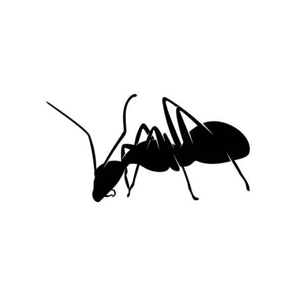 Ameisenvektordesign-Logo. Ameisenillustration mit verschiedenen Formen und unterschiedlichen Bewegungen — Stockvektor