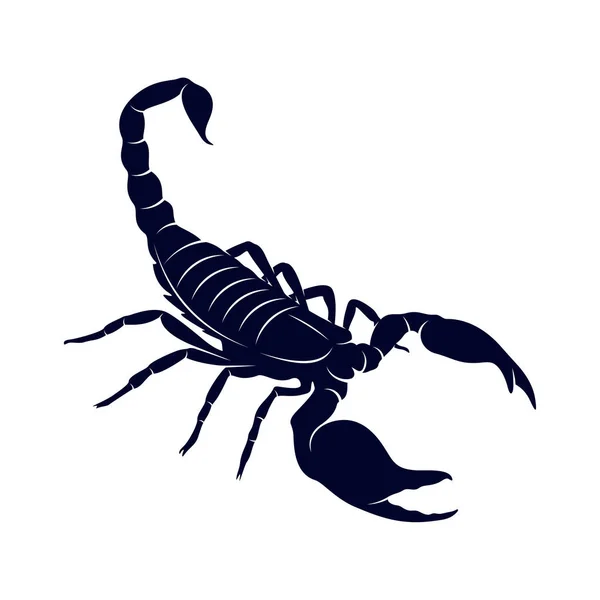 Escorpión Logo Vector, imagen vectorial para el tatuaje, símbolo o logotipo, Plantilla de ilustración — Archivo Imágenes Vectoriales