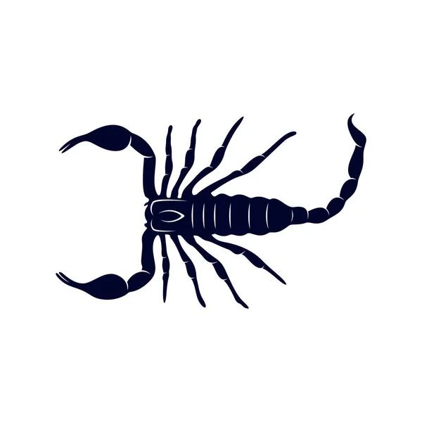 Вектор логотипа скорпиона, векторное изображение для татуировки, символа или логотипа, Шаблон иллюстрации — стоковый вектор