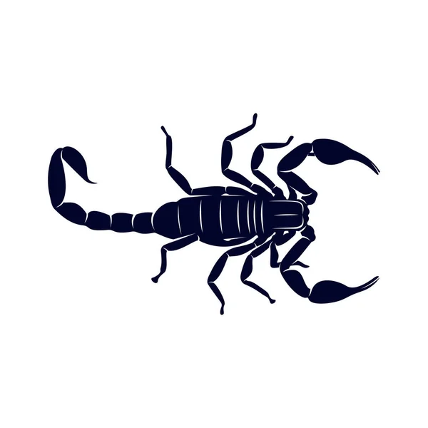 Scorpion Logo Vector, imagem vetorial para a tatuagem, símbolo ou logotipo, Modelo de ilustração — Vetor de Stock