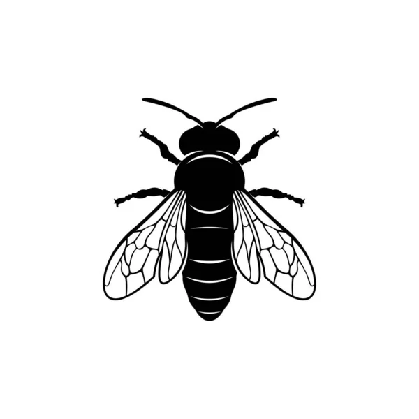 Logo d'abeille vecteur de conception. Symbole d'icône. Illustration du modèle — Image vectorielle