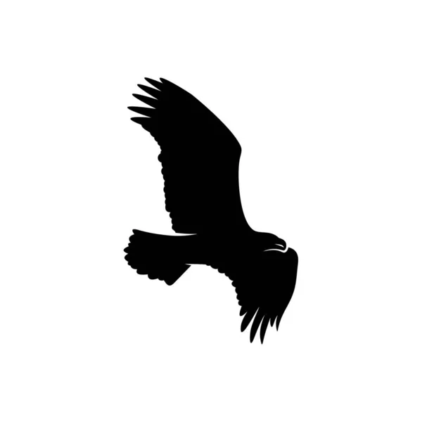 Vetor de design de logotipo águia. Eagle logotipo modelo ilustração — Vetor de Stock