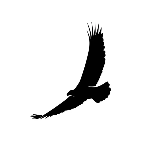 Wektor projektu logo Orła. Ilustracja szablonu logo orła — Wektor stockowy