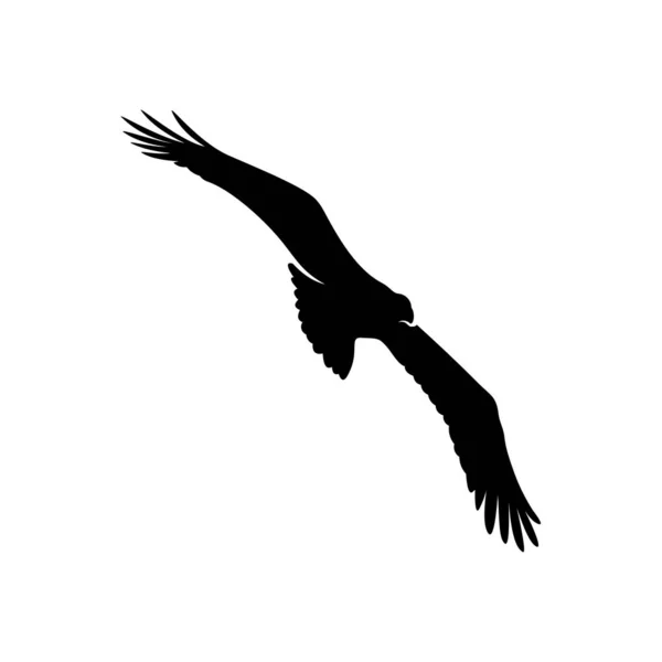 Adelaar logo ontwerp vector. Eagle logo template illustratie — Stockvector