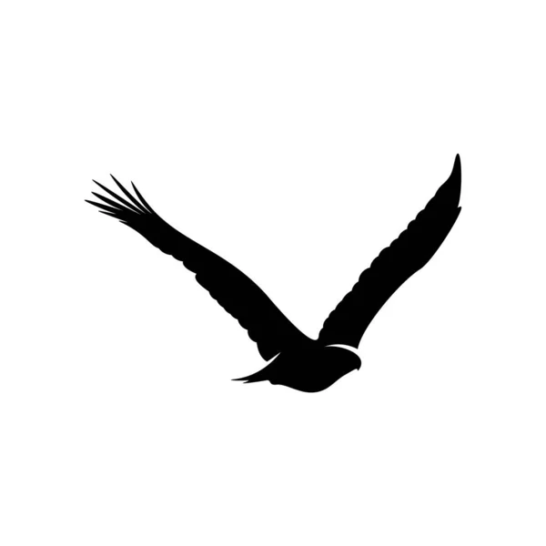 Eagle logo design vektor. illustration av örnens logotyp — Stock vektor