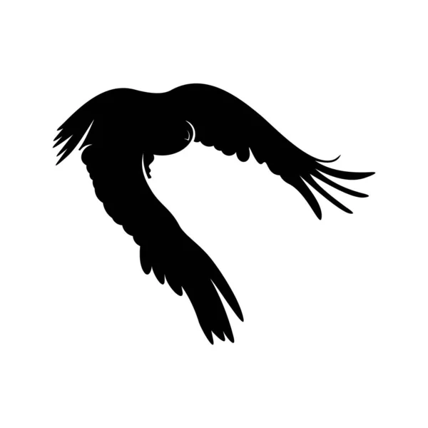 Vetor de design de logotipo águia. Eagle logotipo modelo ilustração — Vetor de Stock