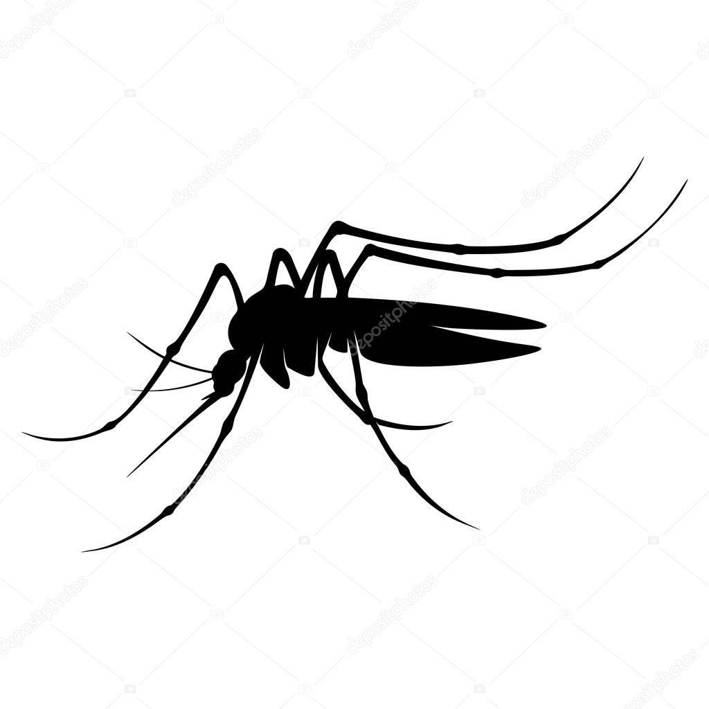 Mosquito Logo Design Vector Illustration. Mosquito Design Template