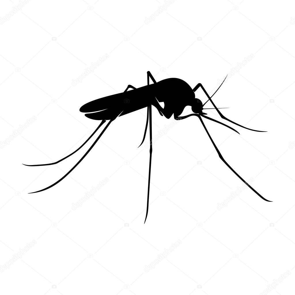 Mosquito Logo Design Vector Illustration. Mosquito Design Template