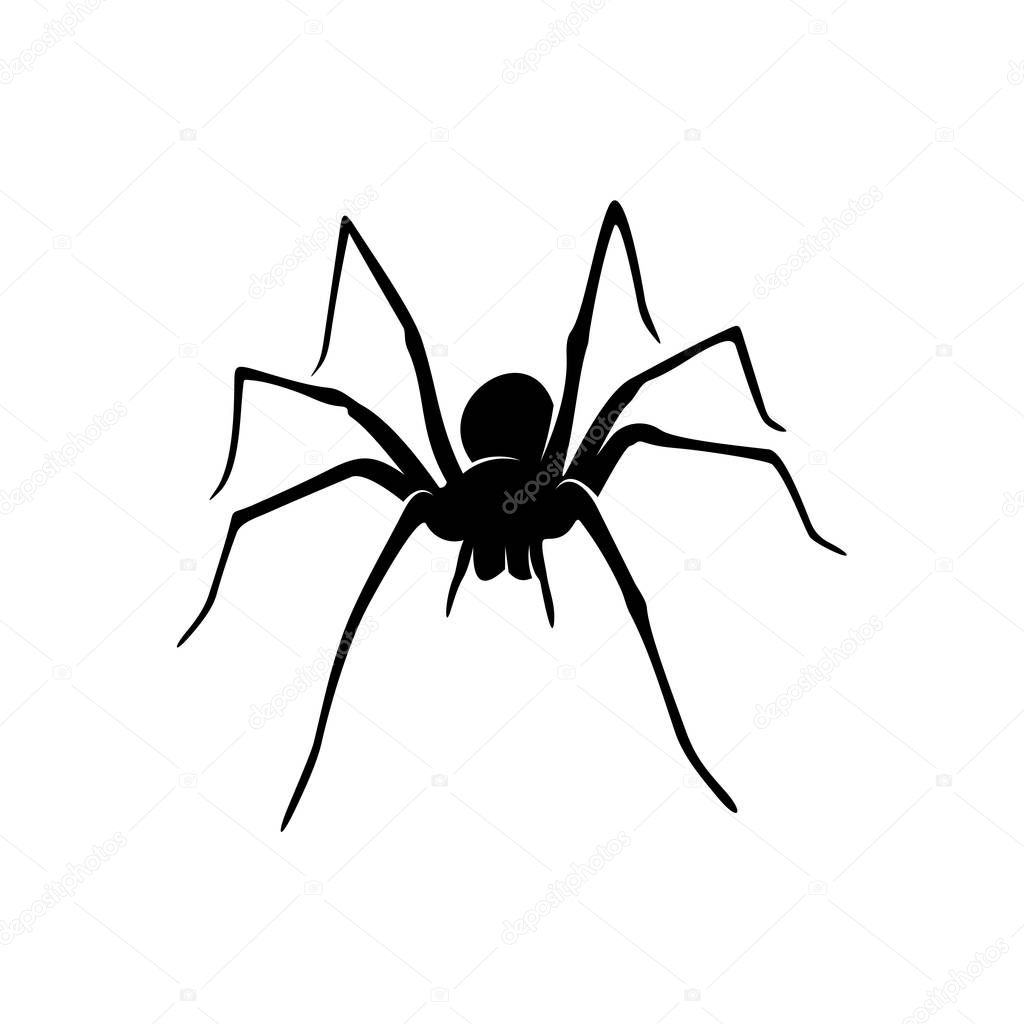 Spiders Vector Design Logo. Spiders Illustration With Various Shapes and Different movements