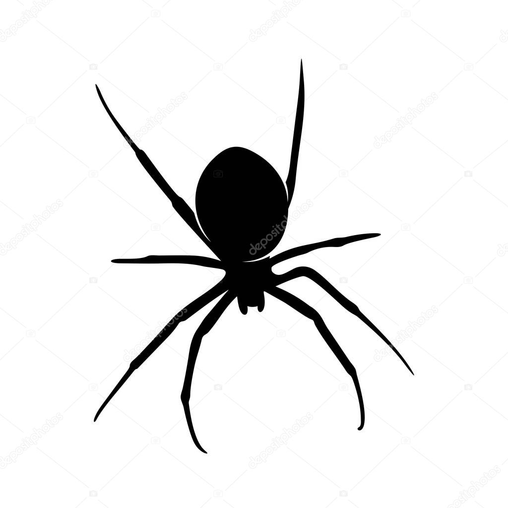 Spiders Vector Design Logo. Spiders Illustration With Various Shapes and Different movements