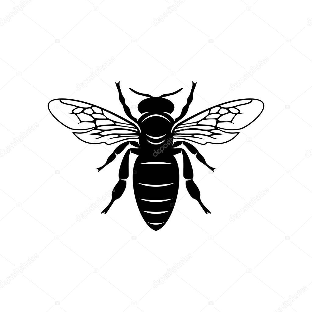 Bee logo design vector. Icon Symbol. Template Illustration