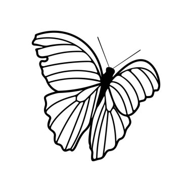 Kelebek logosu tasarım vektörü. Kelebek logosu çizimi