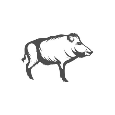 Yaban domuzu Logosu Tasarım Vektörü. Şablon İllüstrasyonu. Simge Sembolü