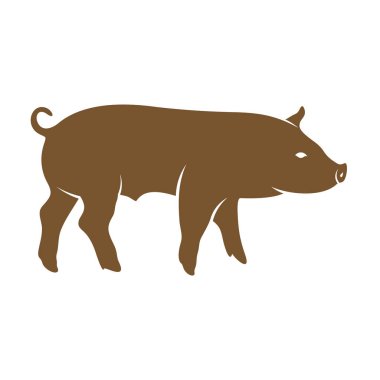 Domuz Logosu Tasarım Vektörü. Şablon İllüstrasyonu. Simge Sembolü