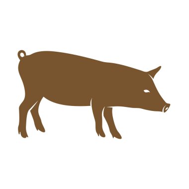 Domuz Logosu Tasarım Vektörü. Şablon İllüstrasyonu. Simge Sembolü