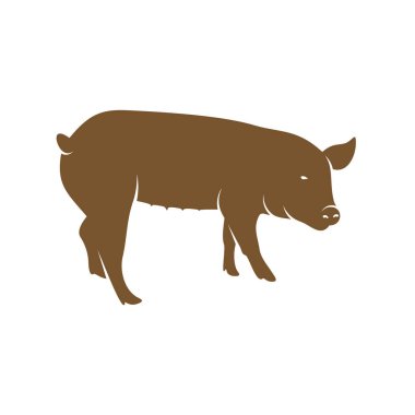 Domuz Logosu Tasarım Vektörü. Şablon İllüstrasyonu. Simge Sembolü