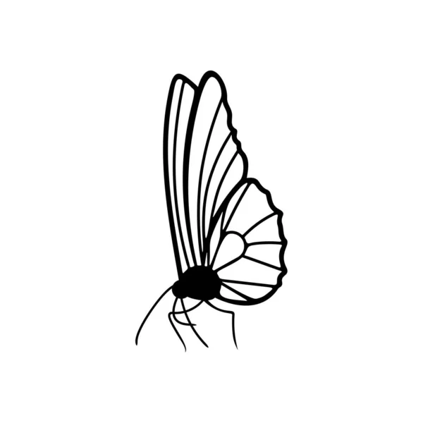 Wektor projektowania logo motyla. Ilustracja szablonu logo motyla — Wektor stockowy