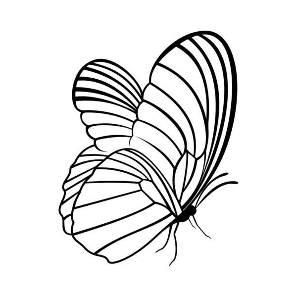 Vector de diseño de logotipo de mariposa. Plantilla de logotipo de mariposa ilustración — Vector de stock