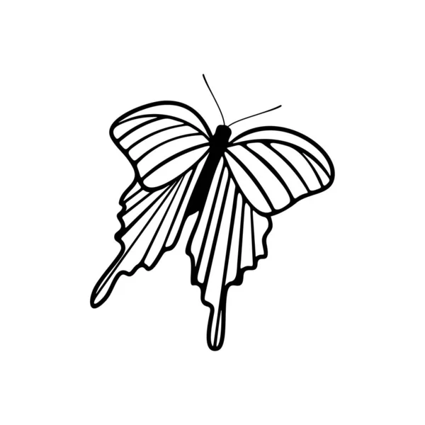 Kelebek logosu tasarım vektörü. Kelebek logosu çizimi — Stok Vektör
