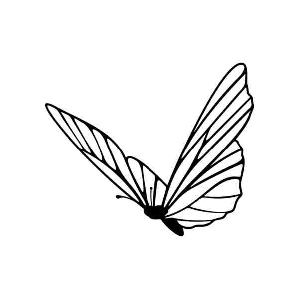 Wektor projektowania logo motyla. Ilustracja szablonu logo motyla — Wektor stockowy