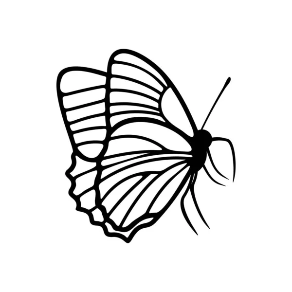 Borboleta logotipo vetor de design. Borboleta logotipo modelo ilustração —  Vetores de Stock