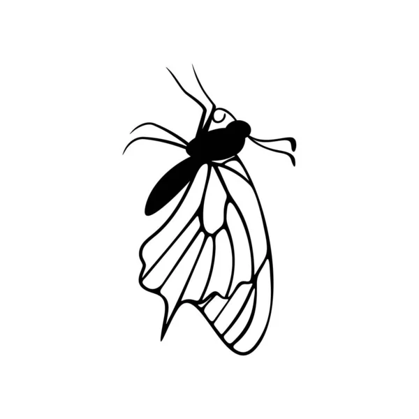 Borboleta logotipo vetor de design. Borboleta logotipo modelo ilustração —  Vetores de Stock