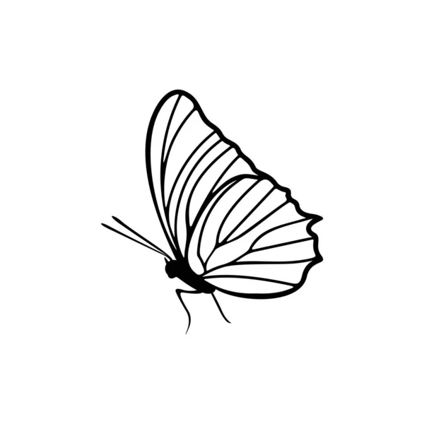 Вектор дизайна логотипа бабочки. Иллюстрация логотипа бабочки — стоковый вектор