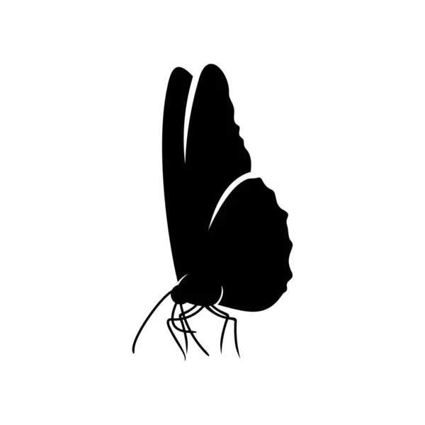 Butterfly logo design vector. Butterfly logo template illustration — Stock Vector
