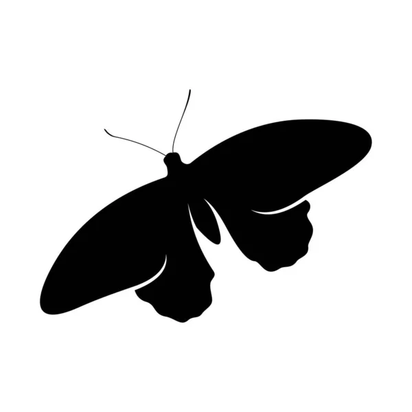 Butterfly logo design vektor. Fjäril logotyp mall illustration — Stock vektor